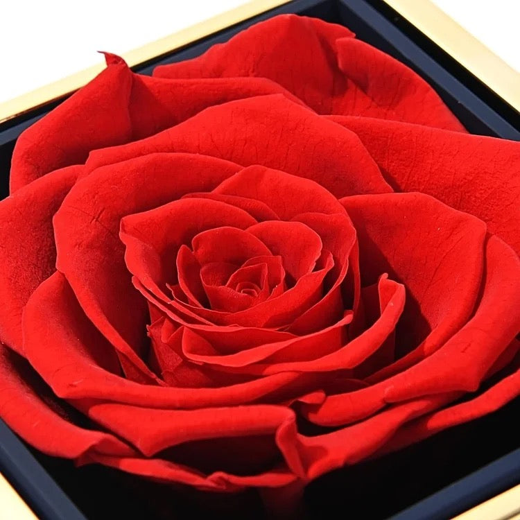 180 Eternal Rose Box