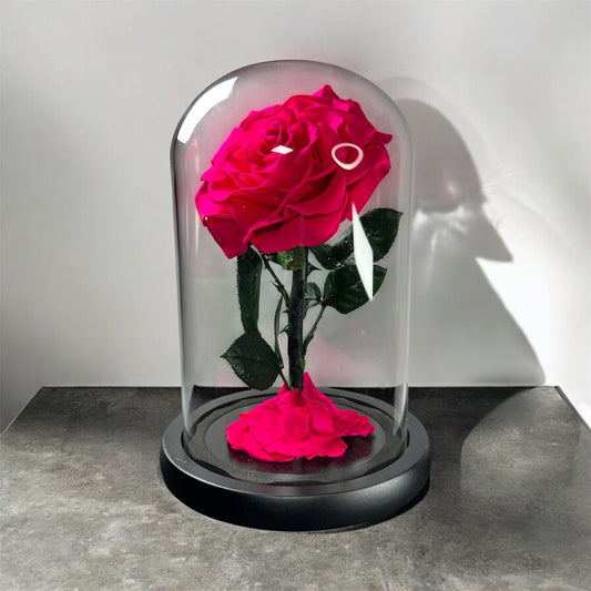 Pink Preserved Rose