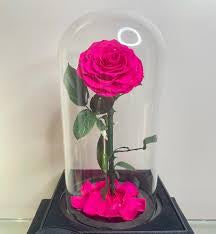 Deluxe Pink Rose