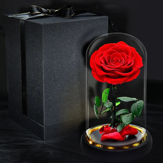 Enduring Elegance Preserved Rose