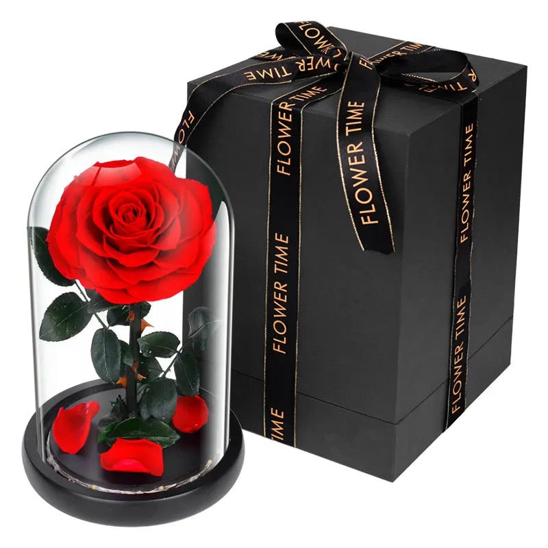 Eternal Love Rose in Glass Dome