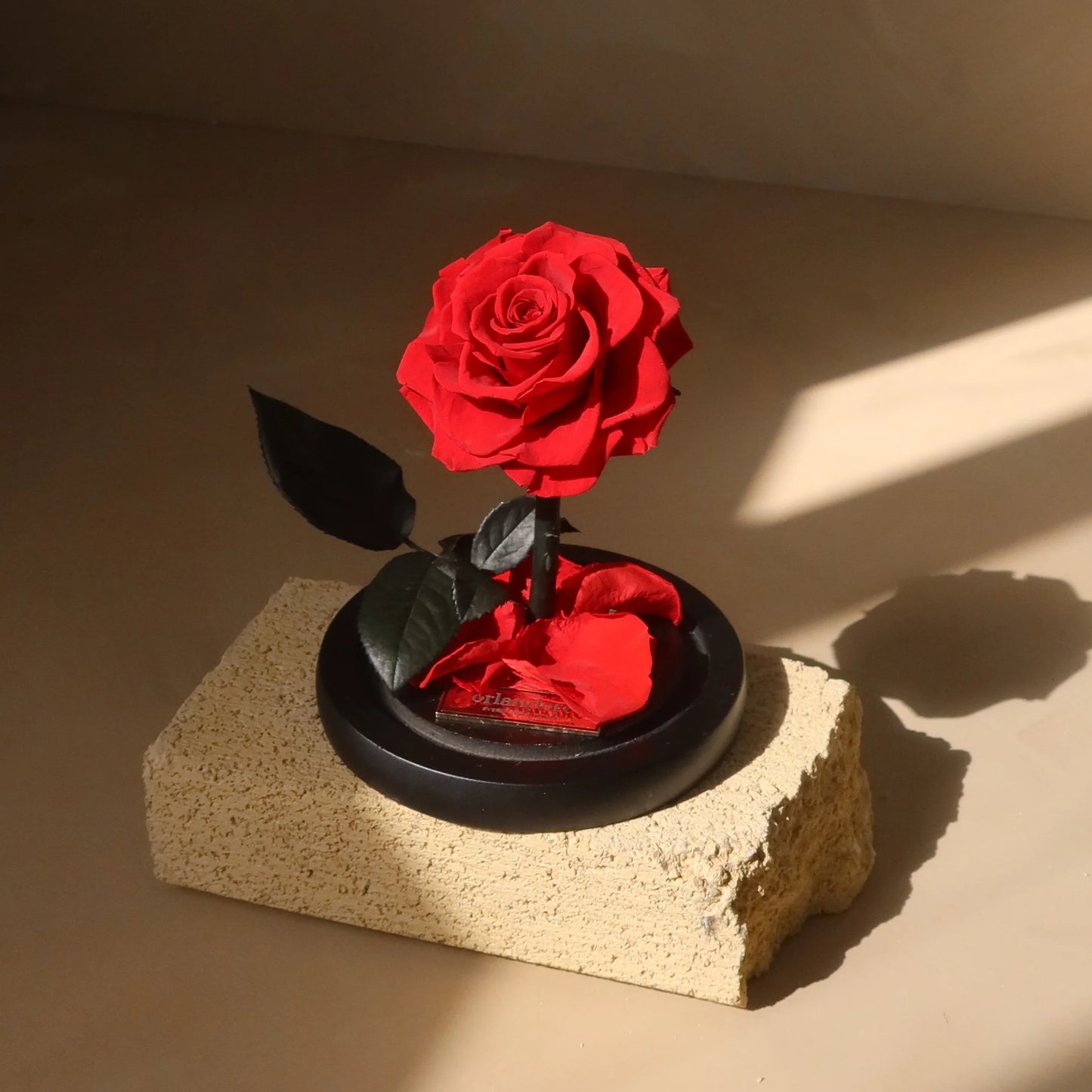 The Everlasting Red Rose