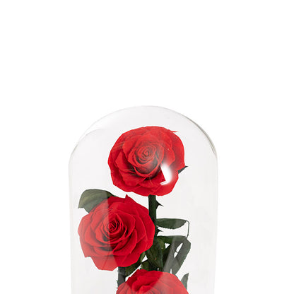 EVERLASTING 3 Stems ROSE DOME | RED