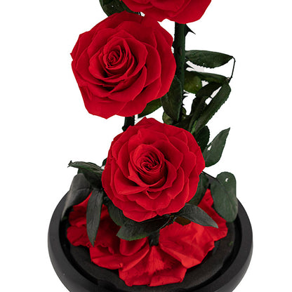 EVERLASTING 3 Stems ROSE DOME | RED