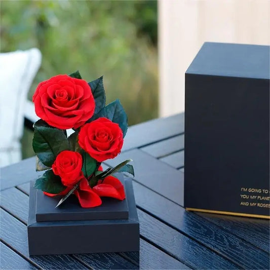 Preserved Red Roses In Box