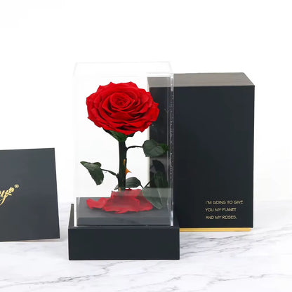 Preserved Red Roses In Box