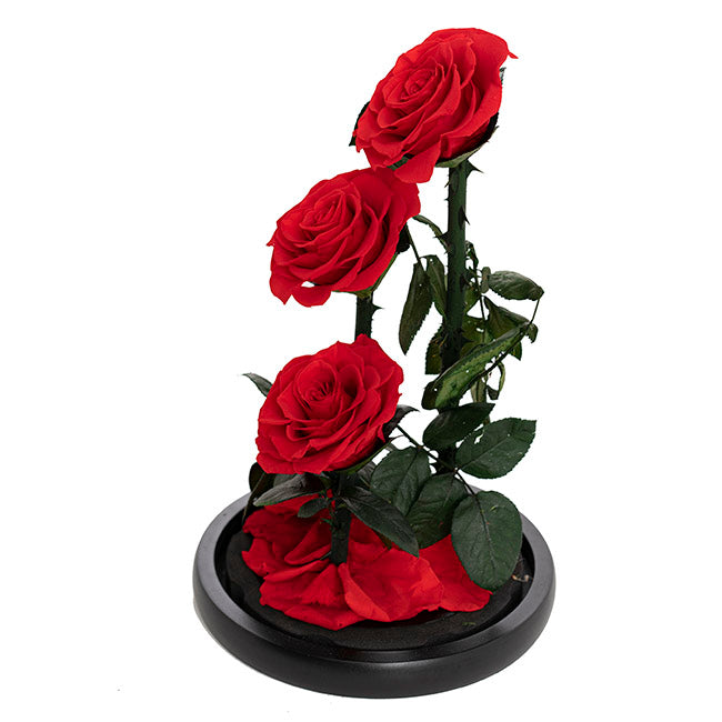 EVERLASTING 3 Stems ROSE DOME | RED