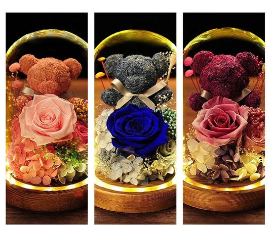 Teddy Blossom Collection"