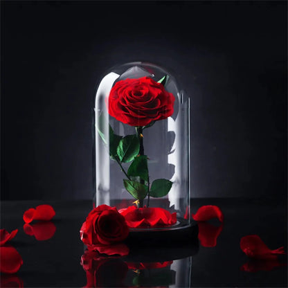 GiftKart Royal Valentine’s Set – Preserved Heart Roses & Glass Dome