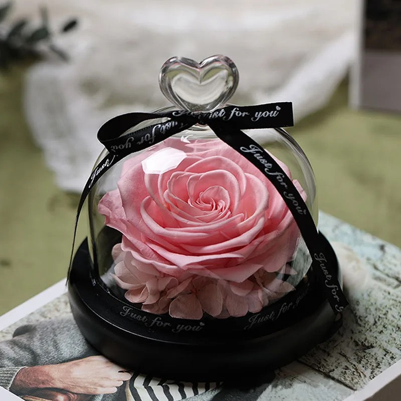 "Heartfelt Harmony Preserved Rose Dome"