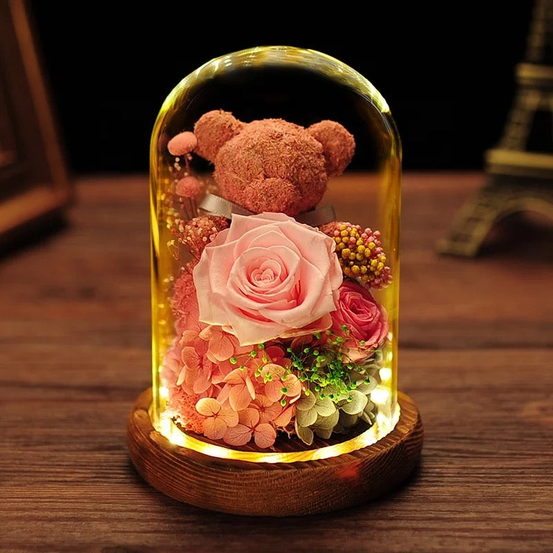 Teddy Blossom Collection"