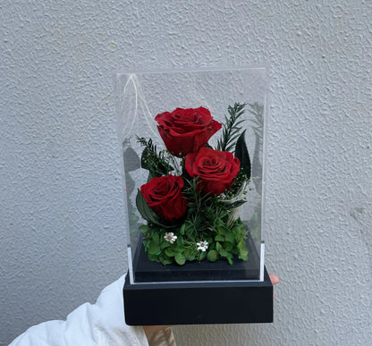 Preserved Roses In Acrylic Gift Box