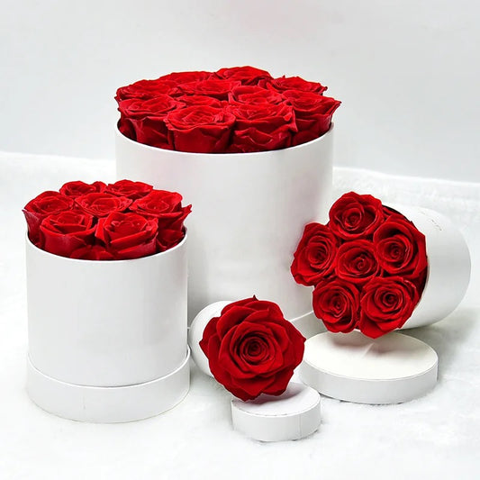 Preserved Red Roses In white Box